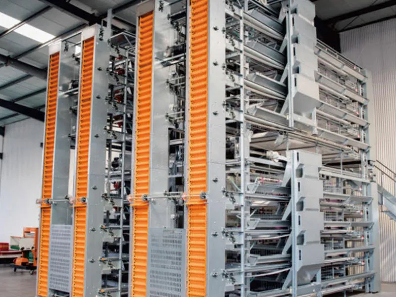 Automatic Layer Cage System China Manufacturers - Shandong Jucheng ...