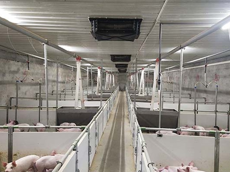 Smart Livestock Environmental Monitoring Platform