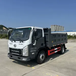Maker 4x2 dump truck (14T)