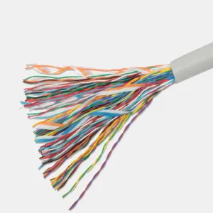 كابلات الاتصالات 50pairs Copper Cat3 Multipair UTP Cable Projects Ethernet Cabling
