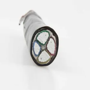 4 Core Electrical Wires Cables 10mm2/25 mm2 Low-Voltage Cable 0.6/1kv Pure Copper Conductor PVC Insulation