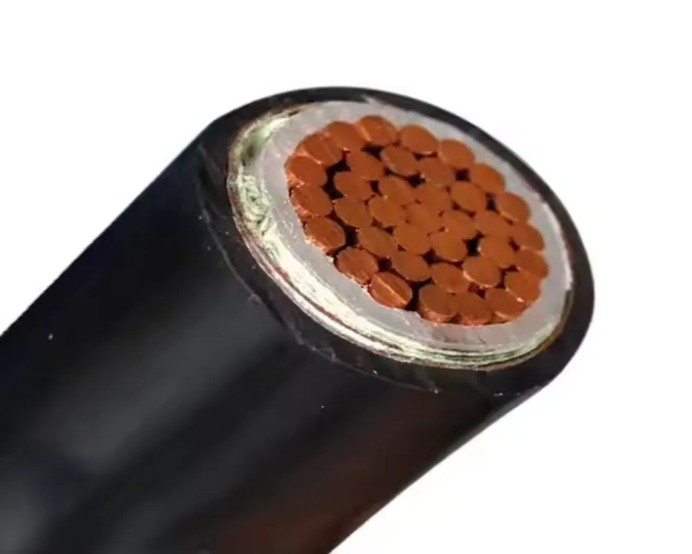 1kv Single Core Cable with Aluminum Conductor XLPE-PVC-St2 25mm 35mm 50mm 70mm 95mm Sizes