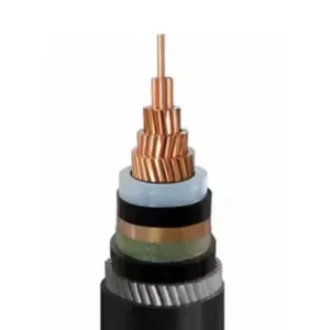 N2xs (FL) 2y/Na2xs (FL) 2y Medium Voltage Cable 12/20 Kv RM 1X300/25 1X400/50mm2 Aluminum Conductor and XLPE Insulation