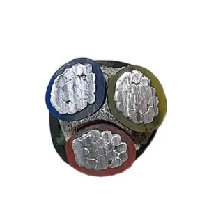 Avvg Avvgng for 0.66 Kv 1.0 Kv to GOST 16442-80 3.5core Aluminum Conductor Underground Direct Burial 600V
