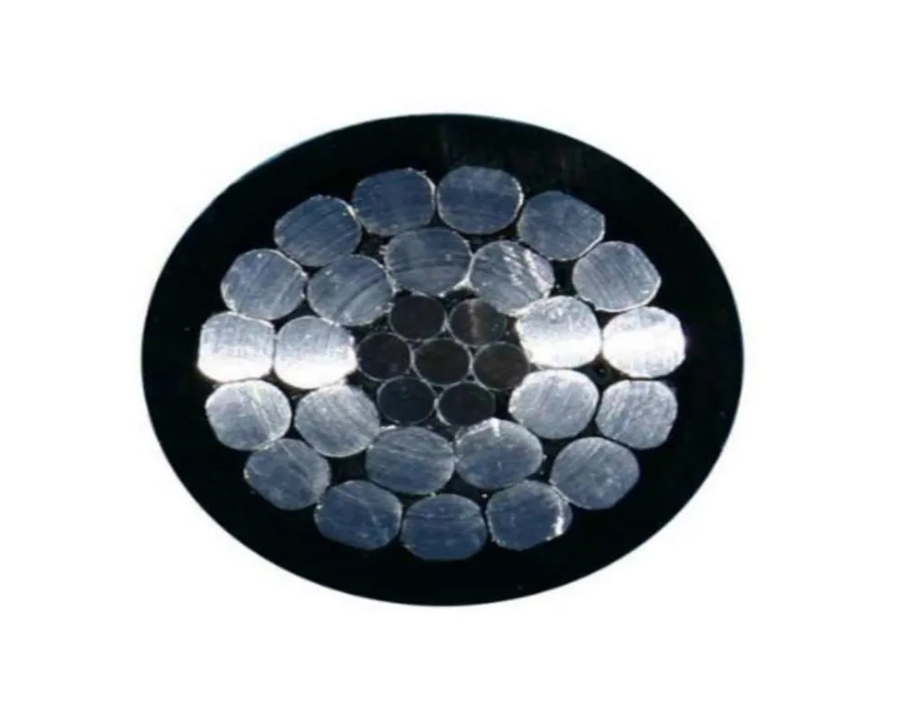 3X4AWG+1X6AWG+2X12AWG 3X2AWG+1X4AWG+2X12AWG Yjlv Yjly Aluminum Cable