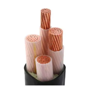 Pure Copper XLPE PVC Insulated Swa Armoured Cable with 2 3 4 5 Cores 16mm-120mm Sizes
