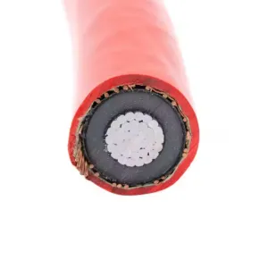 Single Core Al Conductor 1X300mm2 12/20kv XLPE Insulated Na2xs2y Medium Voltage Cable