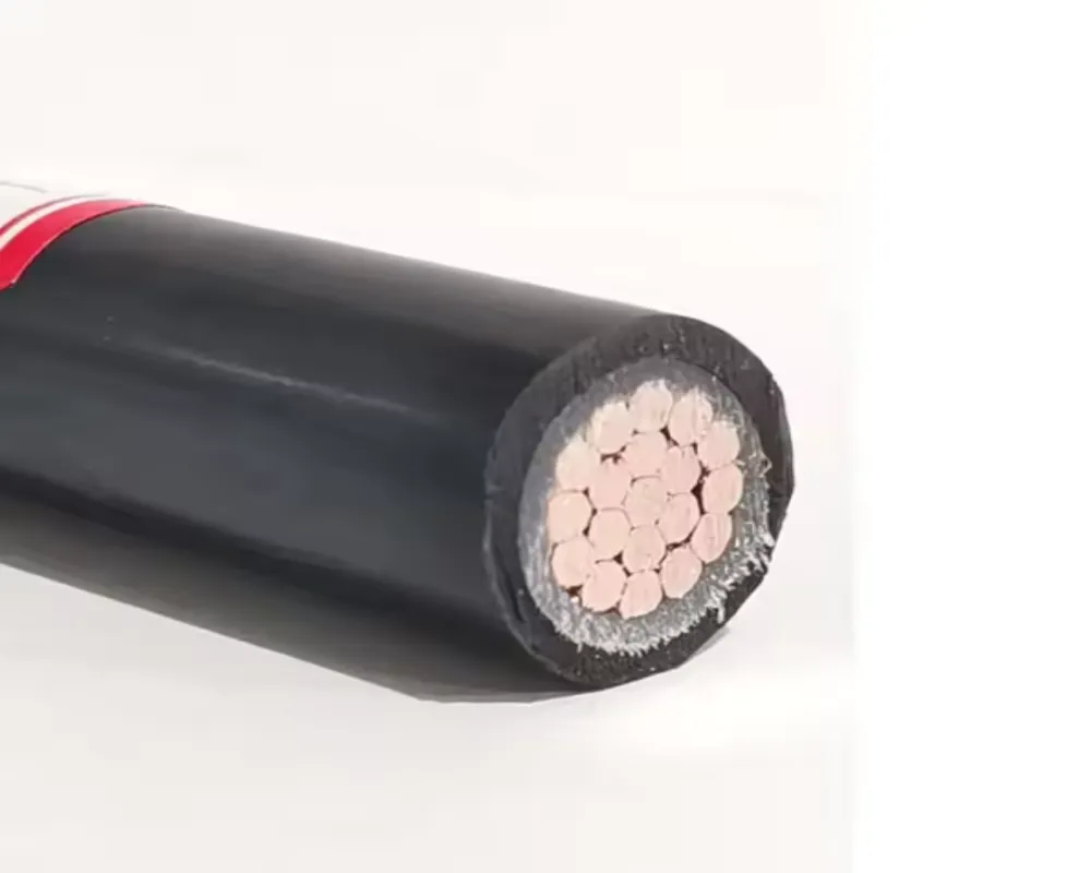 N1xe Al Se-N1xe-Ar 1 Kv Low Voltage Power Cables with 1kv Aluminium Conductor XLPE Insulation PE Sheath Rated Current 16A/30A