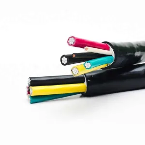 N2xh N2xh-J & N2xh-O 3X25RM 5X25RM XLPE Insulated and Hffr Sheathed Power Cable 0.6/1kv