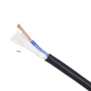 Yjv R2V RO2V Two Cores 2X4mm2 2X10mm2 2X16mm2 2X25mm2 Copper Conductor XLPE Insulation Power Cable