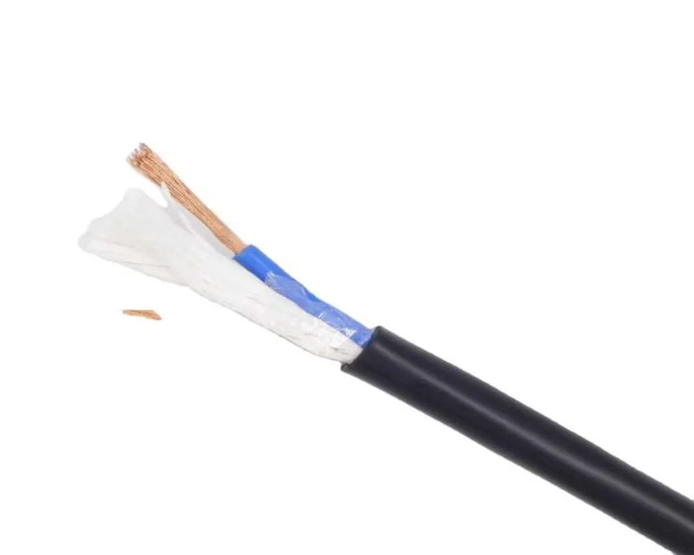 Yjv R2V RO2V Two Cores 2X4mm2 2X10mm2 2X16mm2 2X25mm2 Copper Conductor XLPE Insulation Power Cable