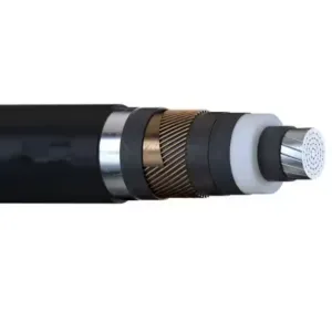 18/30 Kv Na2xsy Na2xs2y Na2xs (FL) 2y Single Core Cable