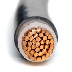 N2xy C2xy Ca2xy C2xy-F Power Cables Al Cu XLPE PVC with XLPE Insulation and PVC Sheath