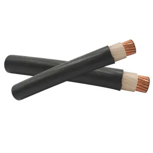 1X300mm Copper XLPE U1000 R02V Power Cables LV 1000 Volt for Industrial