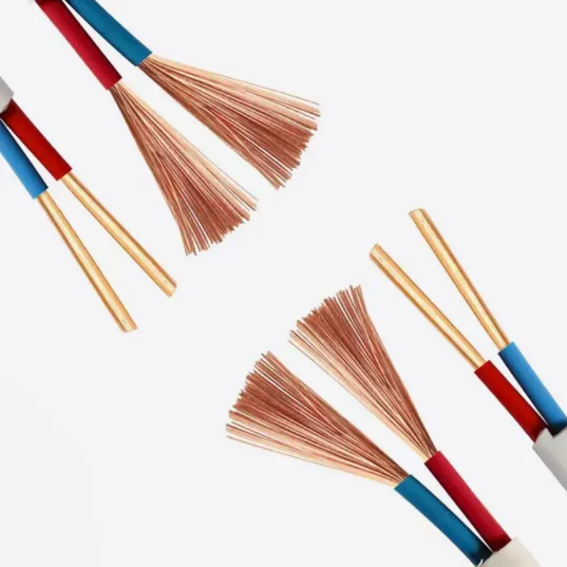 Electrical Wire Best Price 16mm&sup2; Single Core Cable & 2 Core 6mm&sup2; Cable