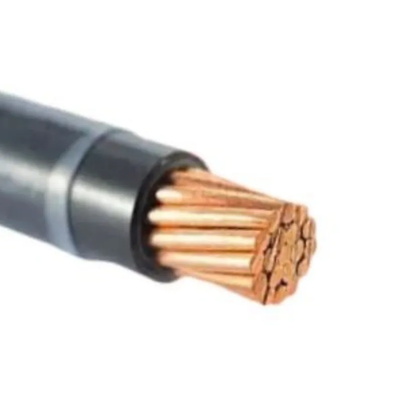 XLPE 250mm Sq 100mm Sq 300mm Sq Single Core Cable for Philippines