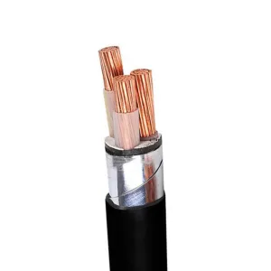 2000 Volt Copper Tray Cable Rhw-2/PVC Shielded Power Cable