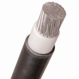 Single Core XLPE Insulated 2/0 Copper Cable THHN THHW THW TW 60mm2 Rated Current 16A/30A