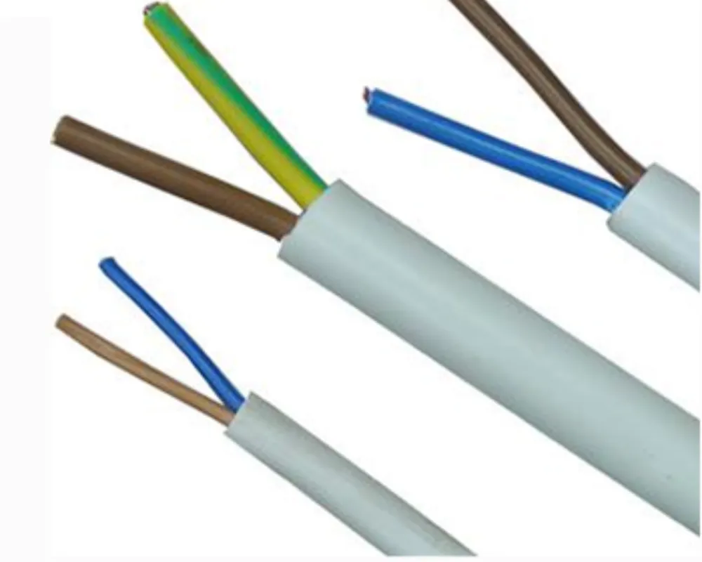 2-Core PVC Insulated Copper Cable 1.5-6mm&sup2; 300/500V Flexible Electrical Wire