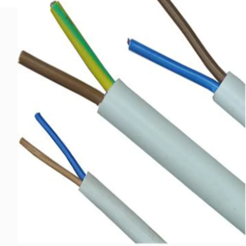 2-Core PVC Insulated Copper Cable 1.5-6mm&sup2; 300/500V Flexible Electrical Wire