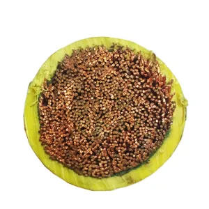 Green-Yellow Single Core Earth Cable 10-35mm&sup2; Flexible Copper IEC 60228 Class 5 H05V-K/H07V-K 300-750V