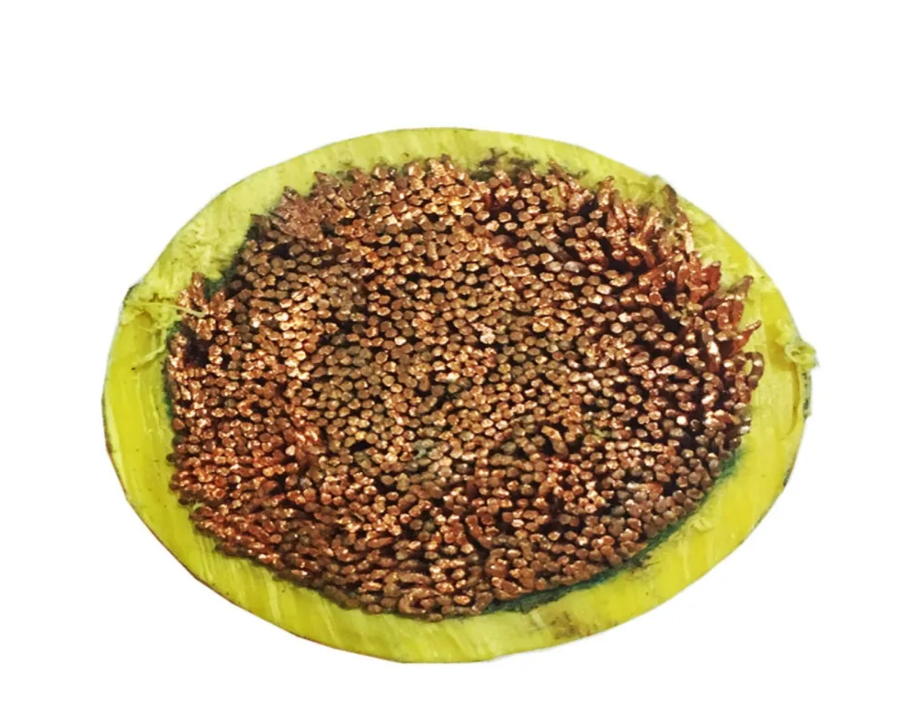 Green-Yellow Single Core Earth Cable 10-35mm&sup2; Flexible Copper IEC 60228 Class 5 H05V-K/H07V-K 300-750V