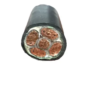 Nyy N2xy Cable 1*300 Copper Conductor Power Cable Cu/XLPE/PVC Cable