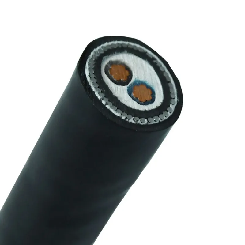 YJV32 Steel Wire Armored 2 Core 10mm 16 mm Copper Xlpe Low Voltage Electrical Cable 2.5mm 10mm 2 Core Earth Armoured Power Cable