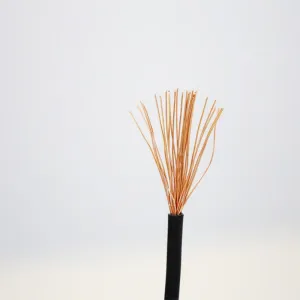 Wholesale Armored Cable for Direct Burial - Stranded Copper Conductor with PVC Sheath for Garden, Outdoor and House Power Supply