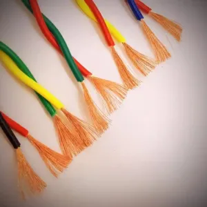 Customized Colorful 2*0.5 2*0.75 2*1.0 2*1.5 2*2.0 2*2.5 Zr-Rvs Nh-Rvs Two Cores Lsoh 1.5mm Twisted Pair Cable