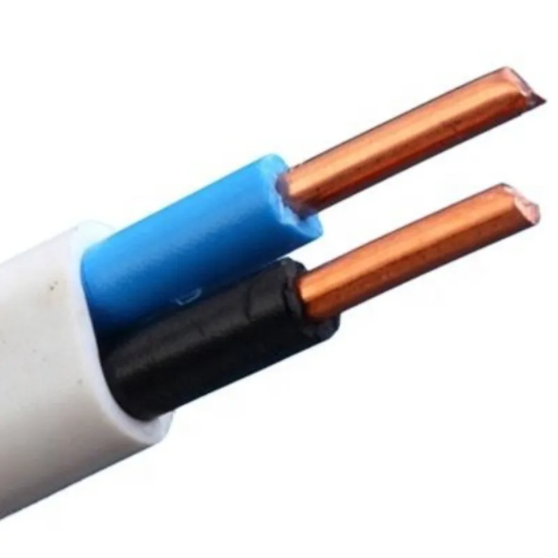 450/750V Copper Cable 2 Core Flexible Rubber Flat Submersible Pump Wire 2.5mm-6mm Waterproof Power Cable 16A Rated Current