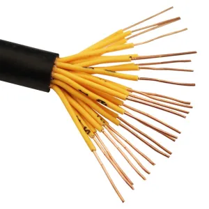 Cvv/ Cvv-S/ Cvv-Swa 12 Core 18 22 24 20 AWG Shield Amoured Control Cable