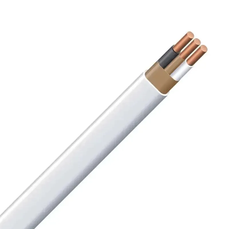 Household Hard Conductor 2.5mm 4mm 6mm Wires Cables Cable Assemblies Wire 12/2 14-2 250FT Electrical Wire Nm-B 14/2 250FT