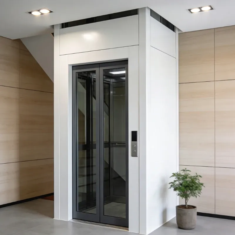 Custom Luxury Backpack Home Elevator For Villas And Residential Homes