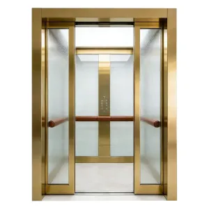 Pag-install ng Traction-Type Gantry-Frame Residential Elevator na may Safety Features para sa Modern Villas Indoor/Outdoor Use