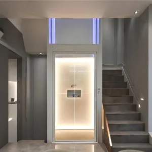 Elevator ng sambahayan para sa mga palapag 2, 3, 4, at 5, self-built na bahay, duplex interior hydraulic traction elevator