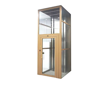 Traction Gantry Home Elevator Price