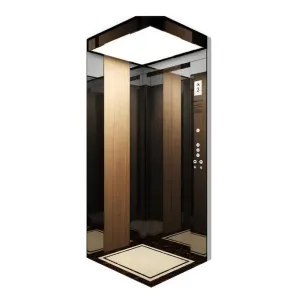 Nako-customize na Backpack Household Elevator para sa Villa Small Home Use Safety Stable Low Noise Lift