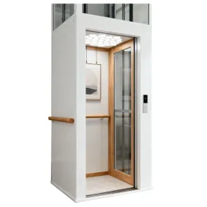 Modernong Hydraulic Passenger Elevator para sa Paggamit sa Bahay 4-Person Capacity Traction Machine Safe Matibay Indoor/Outdoor Residential