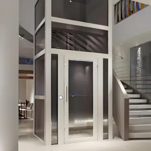 Manufacturer Customized Small Home Villa Elevator para sa Indoor at Outdoor Installation