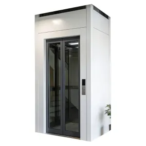 Mga Maliit na Elevator ng Bahay para sa Mga Sariling Itinayo na Villa