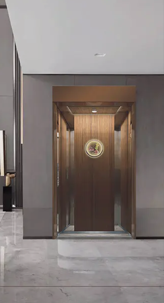 Hydraulic Backpack-type Home Elevator Villa