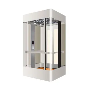Household Elevator para sa Small-sized Duplex na may Dalawa o Tatlong Palapag, Indoor Silent at Simple Lifting Platform