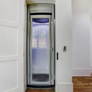 Traction-type Backpack Home Elevator Equipment