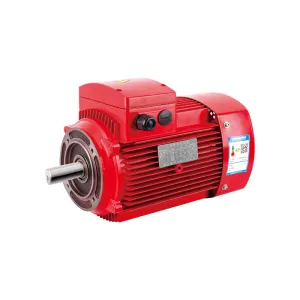 ATEX Certified Explosion Proof Motor for Hazardous Areas