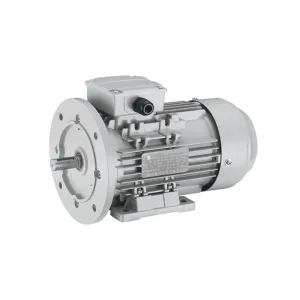 UL Certified Washdown Duty Motor