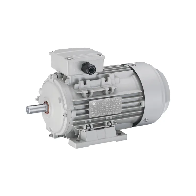 UL Certified Motor with CE and RoHS Compliance