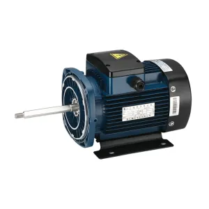 Three Phase Asynchronous Motor TEFC Design