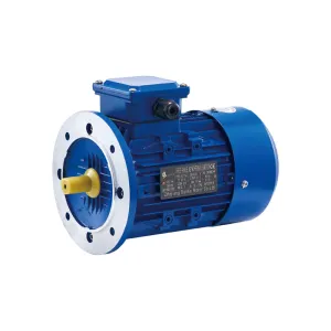 Explosion Proof Three Phase Asynchronous Motor