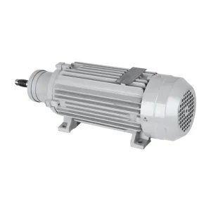 IE3 Efficiency Three Phase Asynchronous Electric Motor